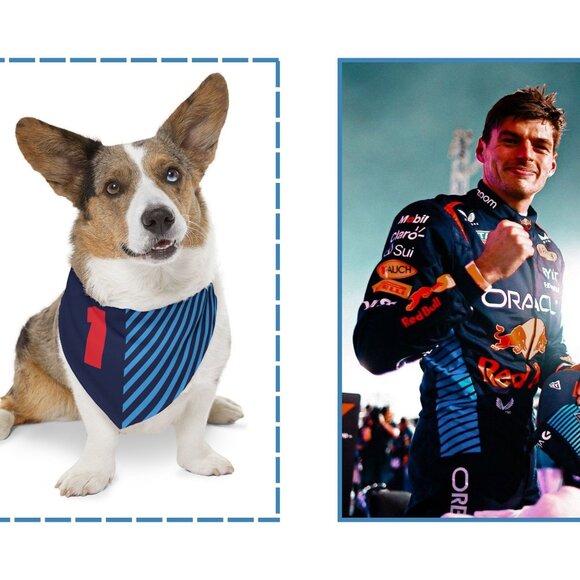 Max Verstappen Dog Bandana - F1 Dog Collar - Picture 4 of 11